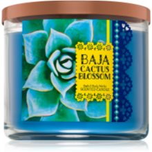 Bath Body Works Baja Cactus Blossom Scented Candle Notino Co Uk