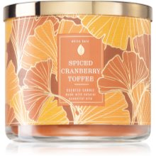 Bath Body Works Spiced Cranberry Toffee vonná svíčka notino cz