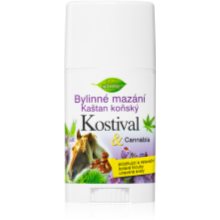 Bione Cosmetics Cannabis Kostival Relaxing Massage Balm In Stick