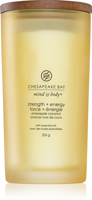 Chesapeake Bay Candle Mind Body Strength Energy Scented Candle