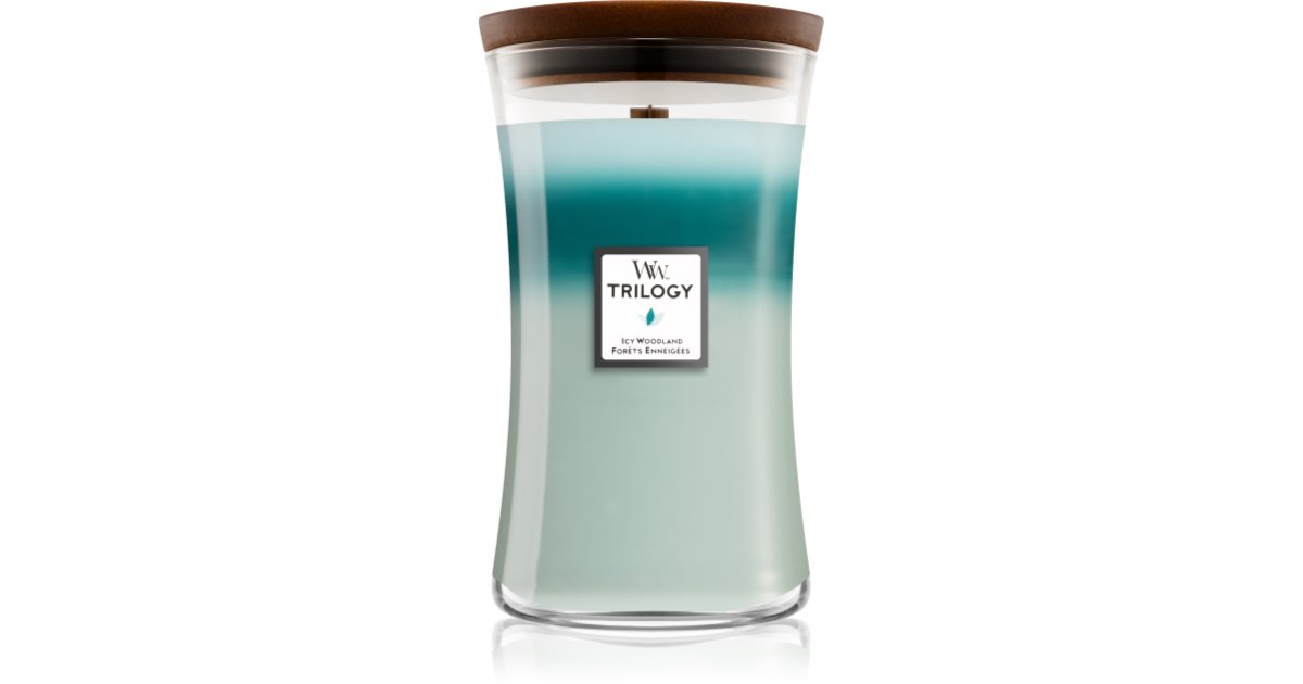 Woodwick Icy Woodland Duftkerze Mit Holzdocht Notino