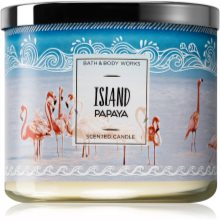 island papaya candle bath and body works