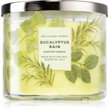 eucalyptus rain bath and body works candle