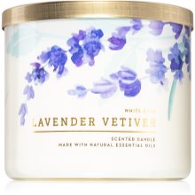 vetiver candle bath and body works