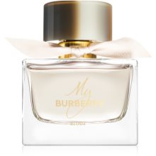 burberry blush on