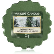 Yankee Candle Christmas Cera Derretida Yankee Candle - Fragancia Coconut Beach - Aroma A Coco Y Piña - Hasta 8 Horas De Duración Wax Melts