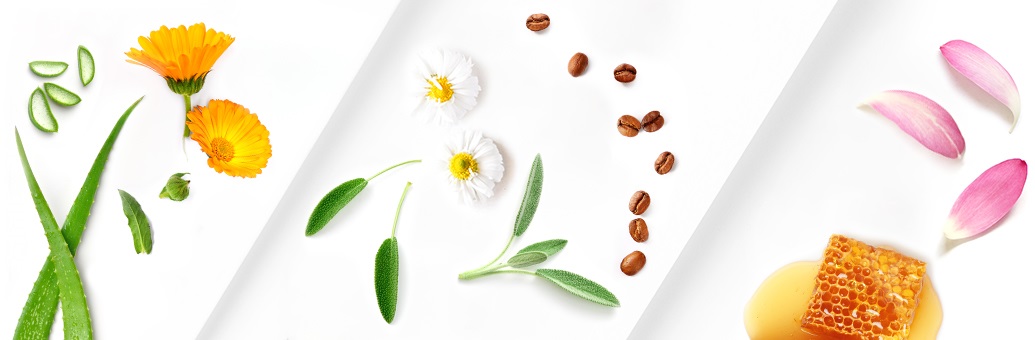 Ingredienten cosmetica}
