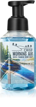 Bath & Body Works Crisp Morning Air penové mydlo na ruky