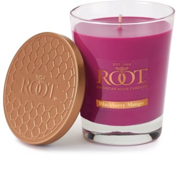 Root Candles Blackberry Mango vonná sviečka