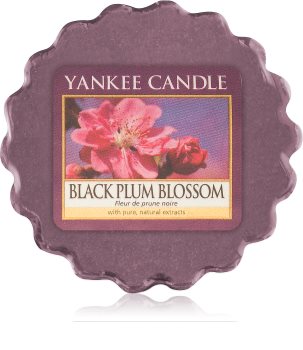 Yankee Candle Black Plum Blossom vosk do aromalampy