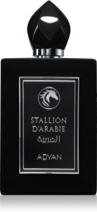 Stallion D'arabie