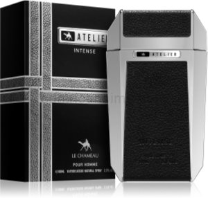 Atelier Intense