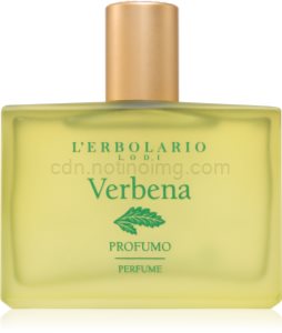 Verbena