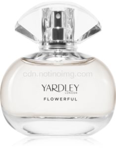 Flowerful English Daisy