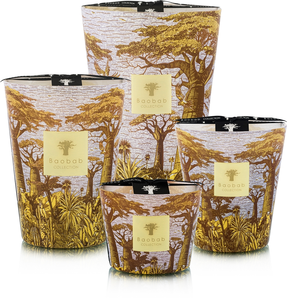 Schne Baobab Kerzen Outlet Bild