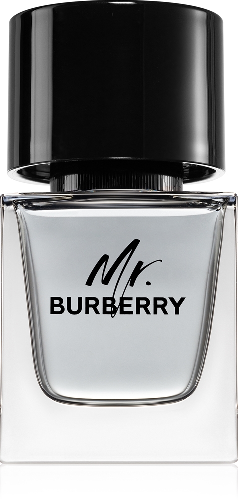 Burberry Mr. Burberry