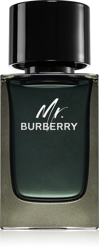 Burberry Mr. Burberry