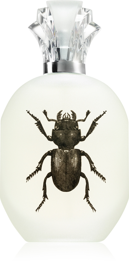 Captain Fawcett Alessandro Manfredini