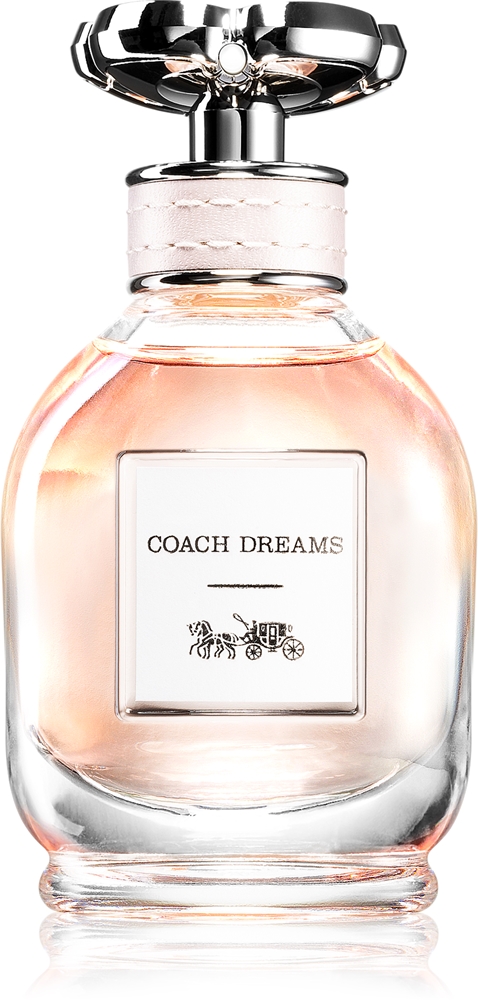 Coach Dreams