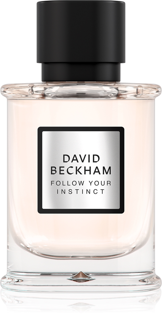 David Beckham Follow Your Instinct
