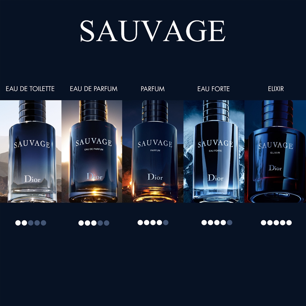 DIOR Sauvage Elixir Extrait De Parfum Pour Homme Notino fr