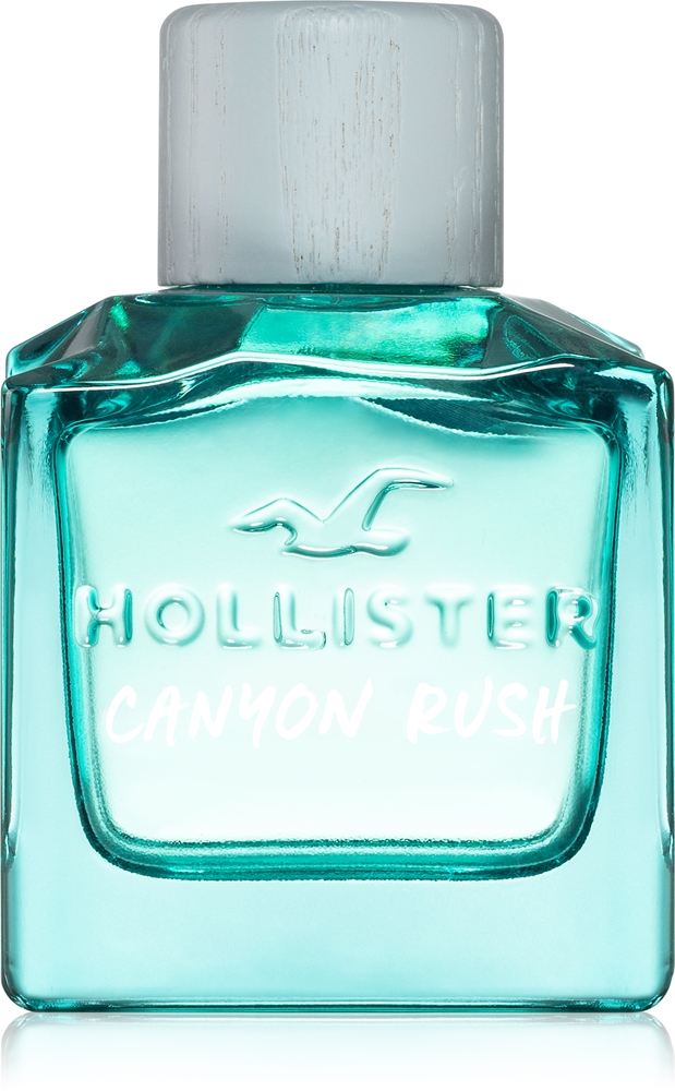 Hollister Canyon Canyon Rush for Him