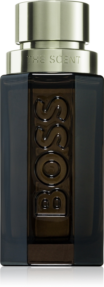 Hugo Boss BOSS The Scent Magnetic for him