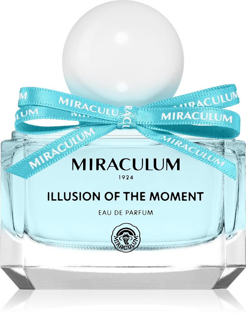 Miraculum Illusion of the Moment