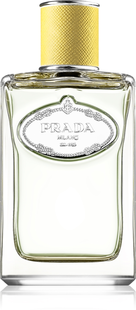 Prada Les Infusions: Infusion de Gingembre
