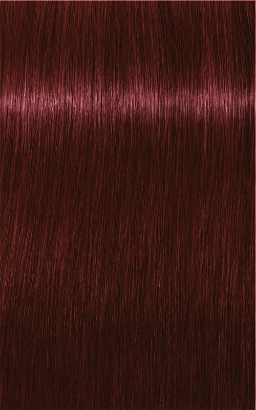 Стойкая крем-краска для волос Schwarzkopf Professional IGORA Royal, окрашивание седины, 60 мл, оттенок 4-88 Medium Brown Red Extra — фото 4