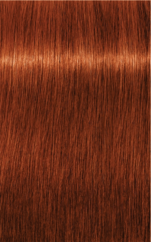 Стойкая крем-краска для волос Schwarzkopf Professional IGORA Royal, окрашивание седины, 60 мл, оттенок 6-77 Dark Blonde Copper Extra — фото 4