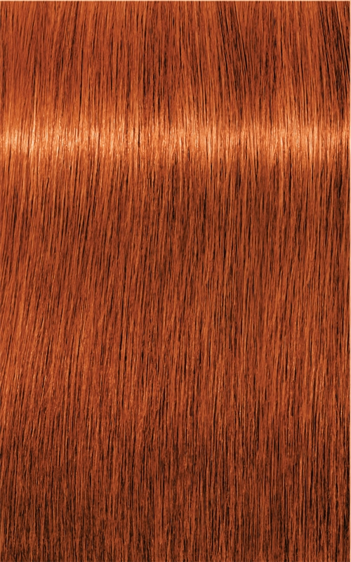 Стойкая крем-краска для волос Schwarzkopf Professional IGORA Royal, окрашивание седины, 60 мл, оттенок 7-77 Medium Blonde Copper Extra — фото 4