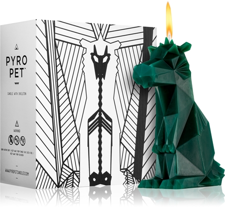 54 Celsius PyroPet DREKI (Dragon) свещ green