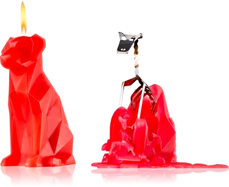 54 Celsius PyroPet VOFFI (Dog) vela berry