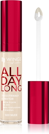 AA Wings of Color All Day Long Long Lasting Concealer Liquid Concealer