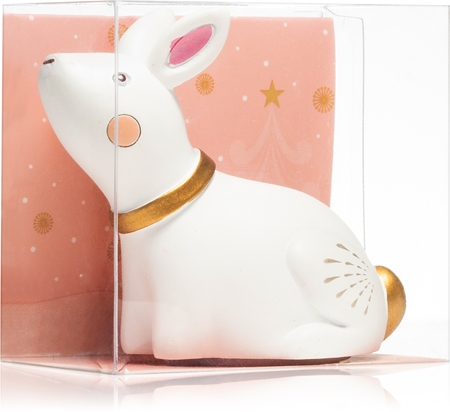 Accentra Dreamy Winter Baked Apricot Βάλσαμο για χείλη