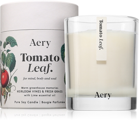 Aery Tomato Leaf vela perfumada