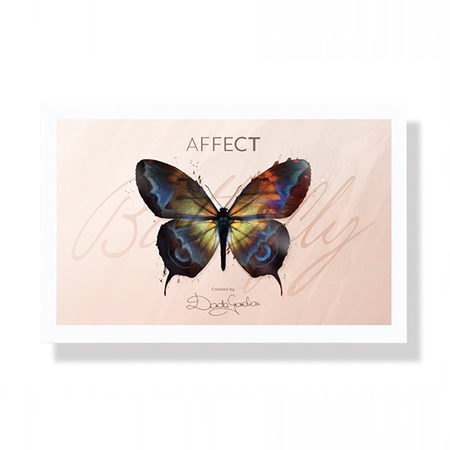 Affect Butterfly Makeup Palette multifunkční paleta na obličej