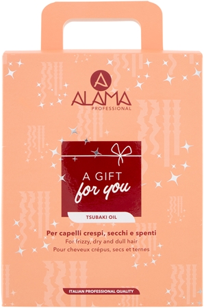 Alama Professional Anti Frizz Gift Box zestaw upominkowy przeciwko puszeniu się włosów