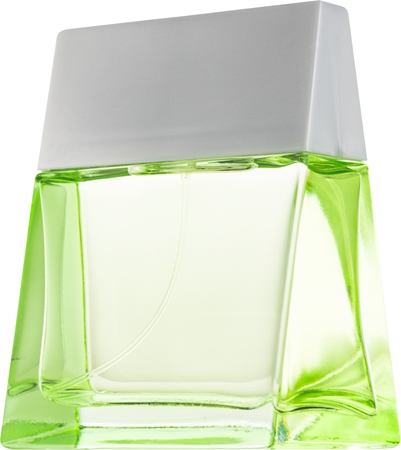 Alfred Sung Paradise Eau de Parfum for Women 100 ml