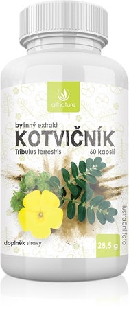 Allnature Kotvičník kapsle pro podporu správné hormonální činnosti
