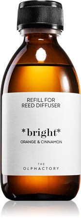 The Olphactory The Olphactory Orange & Cinnamon refill for aroma diffusers (Bright)
