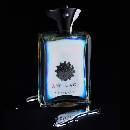 Amouage Portrayal Eau de Parfum for men notino.ie