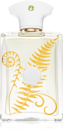 Amouage Bracken Eau de Parfum for men notino.ie