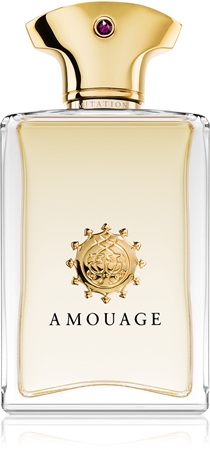Amouage Beloved Men parfumovaná voda pre mužov