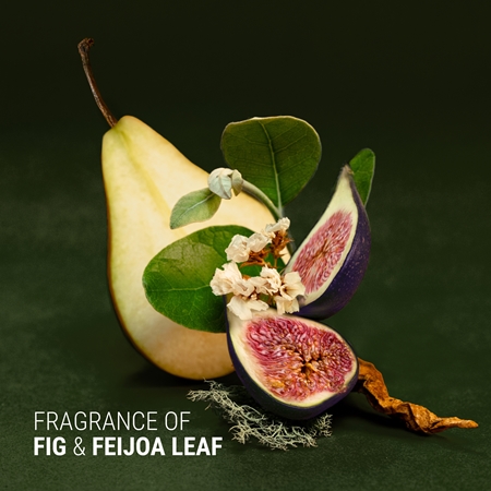 Antipodes Fig + Feijoa Repair & Nourish odżywka głęboko odżywiająca do włosów suchych i zniszczonych