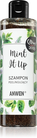 Anwen Mint It Up exfoliační šampon