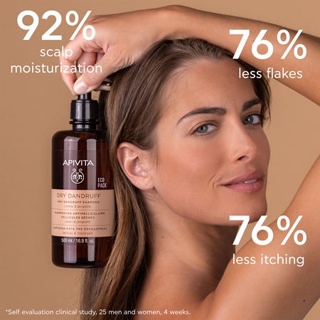 Apivita Dandruff Dry Dandruff Shampoo shampoing antipelliculaire