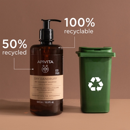 Apivita Dandruff Dry Dandruff Shampoo shampoing antipelliculaire
