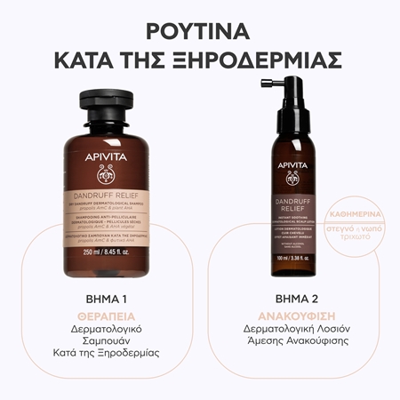 Apivita Dandruff Relief Dry Dandruff Dermatological Shampoo σαμπουάν κατά της πιτυρίδας για ξηρό και κνησμώδες δέρμα της κεφαλής